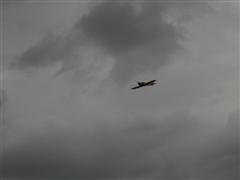 PICT2515.JPG